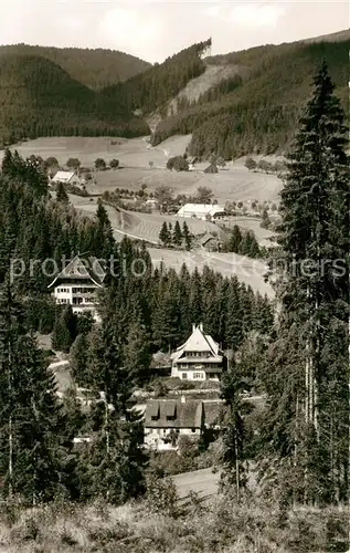 Neustadt_Schwarzwald Panorama Neustadt_Schwarzwald