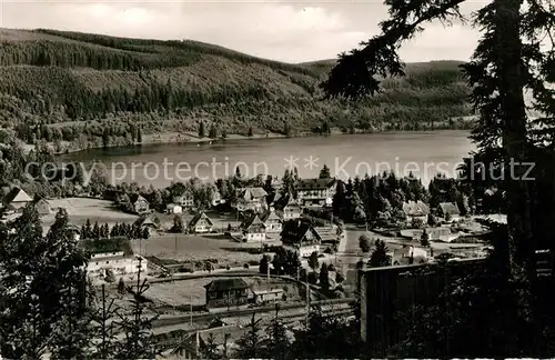 Titisee Panorama Titisee