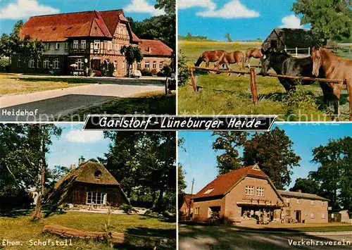 Garsdorf Heidehof Pferde Verkehrsverein Garsdorf