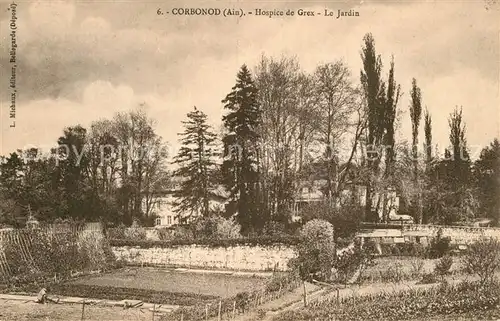 AK / Ansichtskarte Corbonod Hospice de Grex Jardin Corbonod