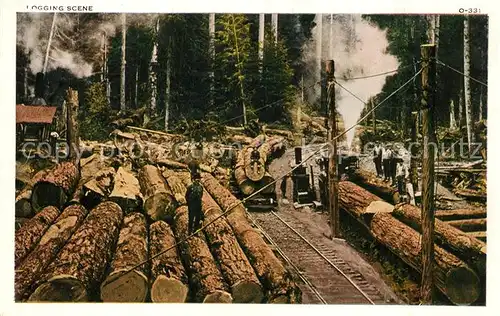AK / Ansichtskarte Berufe Holzf?llerei Logging Scene Alaska Berufe