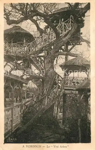 AK / Ansichtskarte Robinson_Plessis Le vrai Arbre Robinson_Plessis