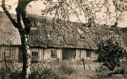 AK / Ansichtskarte Luneray Chaumiere Luneray