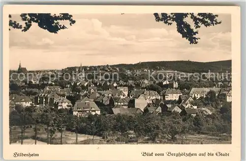 AK / Ansichtskarte Hildesheim Blick vom Berghoelzchen auf die Stadt Hildesheim