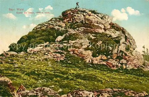 AK / Ansichtskarte Arber Gipfel im Bayrischen Wald Arber