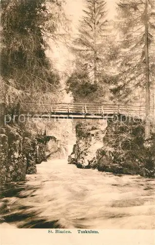 AK / Ansichtskarte St_Blasien Tuskulum St_Blasien