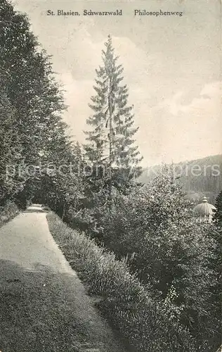 AK / Ansichtskarte St_Blasien Philosophenweg St_Blasien