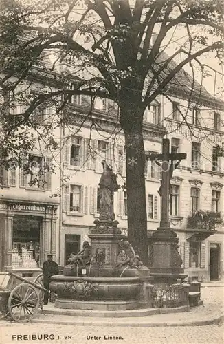AK / Ansichtskarte Freiburg_Breisgau Unter Linden Freiburg Breisgau