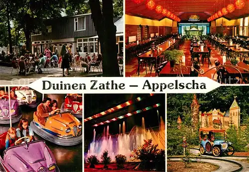 AK / Ansichtskarte Appelscha Duinen Zathe Details Appelscha