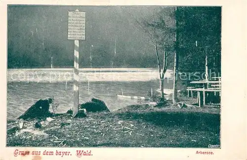 AK / Ansichtskarte Arbersee Seepartie Arbersee