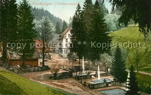 AK / Ansichtskarte Allerheiligen_Oppenau Brunnen Allerheiligen_Oppenau