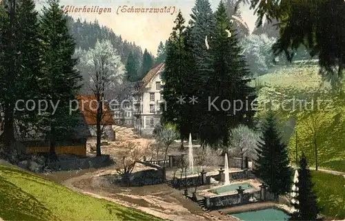 AK / Ansichtskarte Allerheiligen_Oppenau Panorama Brunnen Allerheiligen_Oppenau