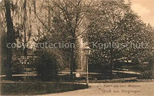 AK / Ansichtskarte Dinglingen Stadtpark Dinglingen