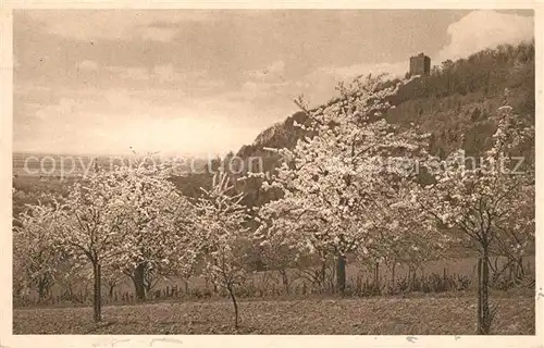 AK / Ansichtskarte Durlach Turmberg Durlach