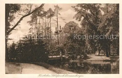 AK / Ansichtskarte Donaueschingen Fuerstlicher Schlosspark Donaueschingen