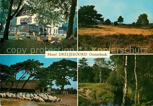 AK / Ansichtskarte Oosterbeek Hotel Dreijeroord Panorama Schafherde Waldpartie Oosterbeek