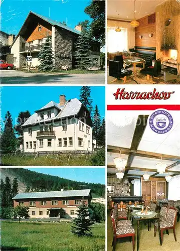 AK / Ansichtskarte Harrachov_Harrachsdorf Hotel Hubertus Details Harrachov Harrachsdorf