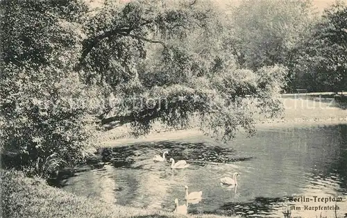 AK / Ansichtskarte Treptow_Berlin Am Karpfenteich Schw?ne Treptow Berlin