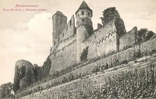 AK / Ansichtskarte Neckarzimmern Burg Hornberg vom Burgweg aus gesehen Neckarzimmern