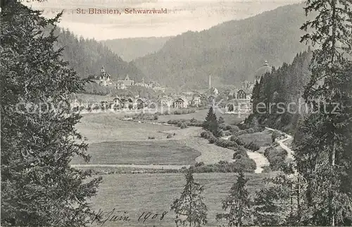 AK / Ansichtskarte St_Blasien Panorama St_Blasien