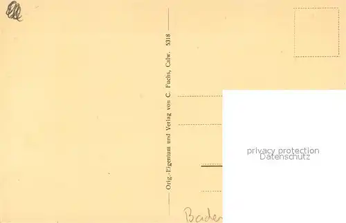 AK / Ansichtskarte Bad_Teinach Zavelstein Panorama Bad_Teinach Zavelstein