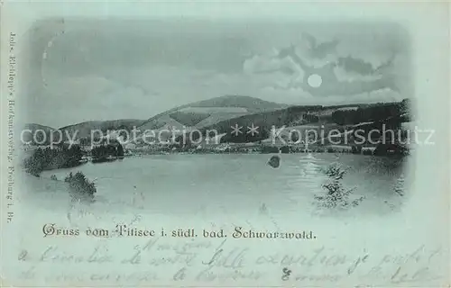 AK / Ansichtskarte Titisee Panorama Mondschein Titisee