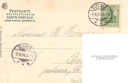 AK / Ansichtskarte Titisee Panorama Titisee