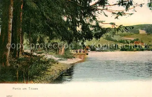 AK / Ansichtskarte Titisee Panorama Titisee