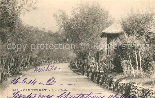 AK / Ansichtskarte Cap Ferrat Sous Bois Cap Ferrat
