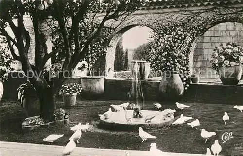 AK / Ansichtskarte Saint Paul de Vence La Colombe d Or Jardin Provencal Saint Paul de Vence