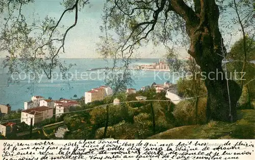 AK / Ansichtskarte Menton_Alpes_Maritimes Entre les Oliviers Cote d Azur Menton_Alpes_Maritimes