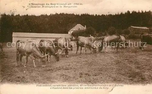 AK / Ansichtskarte Cantal_Auvergne Ermitage du Gay Cantal Auvergne