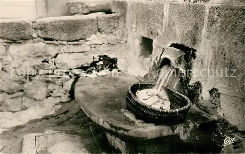 AK / Ansichtskarte Chaudes Aigues La Source du Par Chaudes Aigues