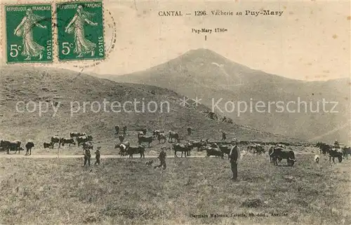 AK / Ansichtskarte Cantal_Auvergne Vacherie au Mary Cantal Auvergne