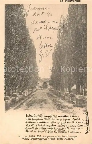 Arles_Bouches du Rhone La grande allee des Aliscamps Arles_Bouches du Rhone