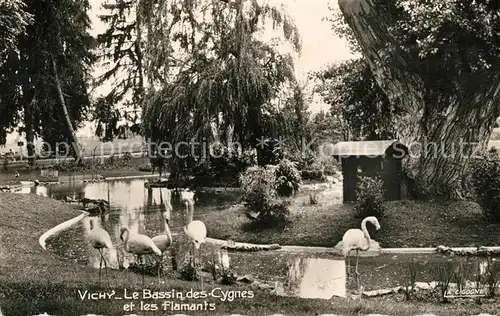 Vichy_Allier Le Bassin des cygnes et les flamands Vichy Allier