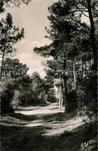 Saint Trojan les Bains La Foret Saint Trojan les Bains