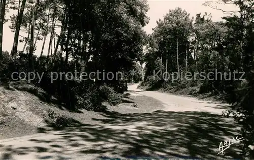 Ile_d_Oleron Vert bois Ile_d_Oleron