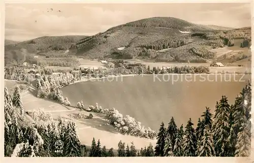 Titisee Panorama Titisee