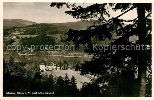 Titisee Panorama Titisee