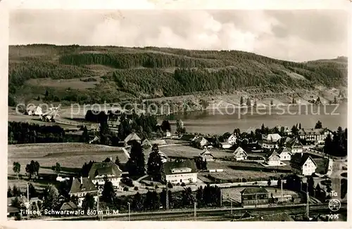 Titisee Panorama Titisee