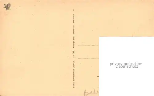 Titisee Panorama Titisee