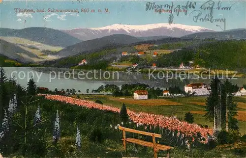 Titisee Panorama Titisee