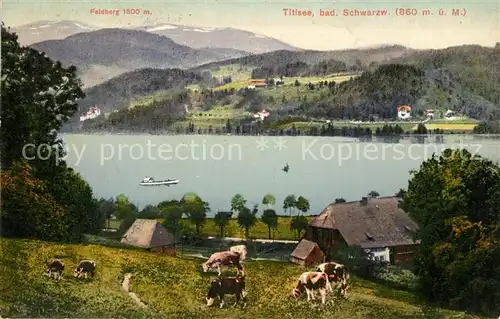 Titisee Feldberg Panorama  Titisee