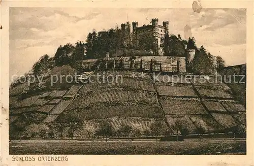 Ortenberg_Baden Schloss Ortenberg_Baden