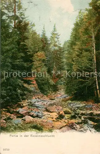 Ravennaschlucht Panorama Ravennaschlucht