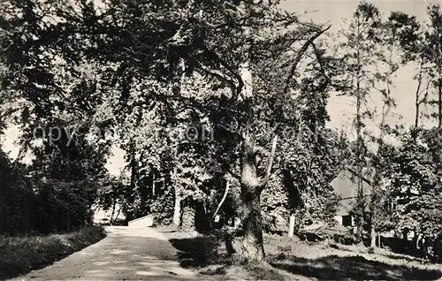 AK / Ansichtskarte Houlgate Centre Regional dEducation Physique et Education Populaire Houlgate