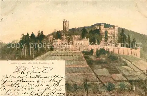 AK / Ansichtskarte Ortenberg_Baden Schloss Ortenberg_Baden