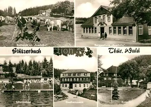 AK / Ansichtskarte Stuetzerbach Kuhherde Auerhahn Berggasthaus Schwimmbad Goethemuseum Kurpark Stuetzerbach