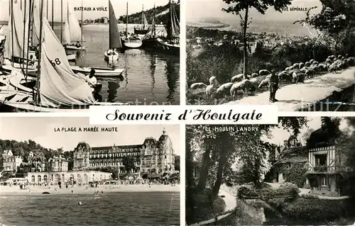 AK / Ansichtskarte Houlgate Port Bateaux a Voile Plage Moulin Landry Panorama Houlgate
